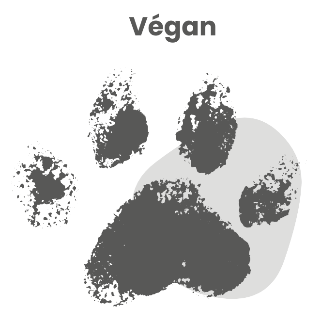 Cosmetique vegan et responsable - FloR'alp cosmetique vegan
